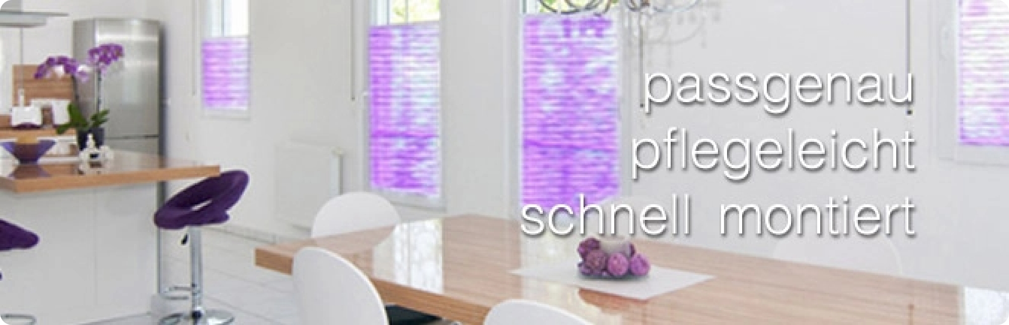 Dekorative Plissee Rollos