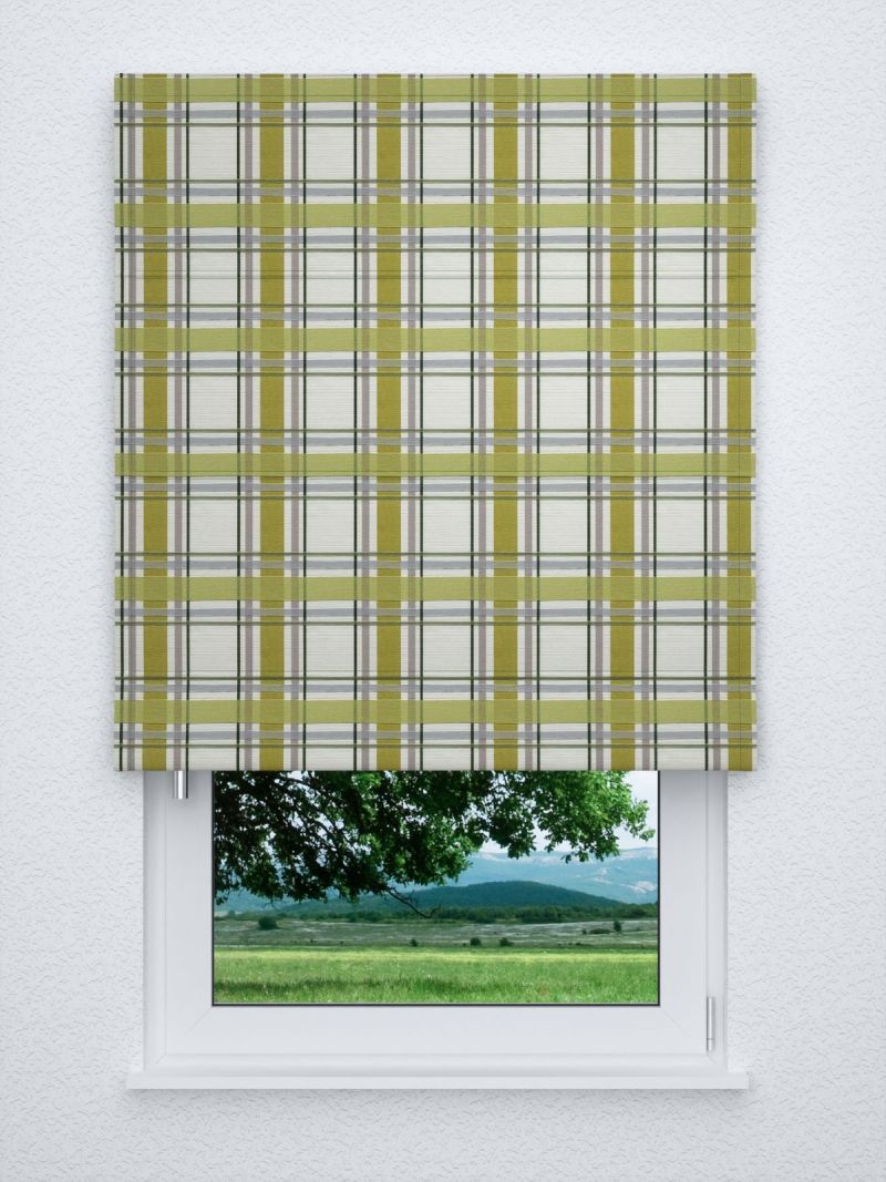 Raffrollo classic in grün