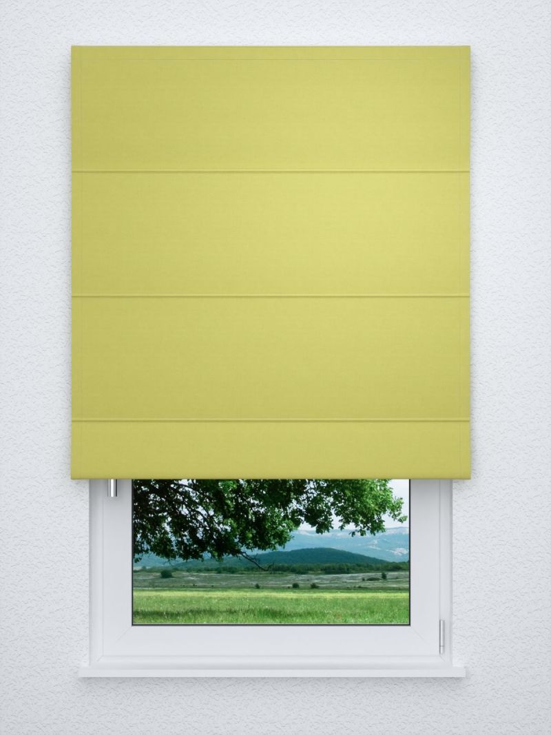 Raffrollo classic in Grün