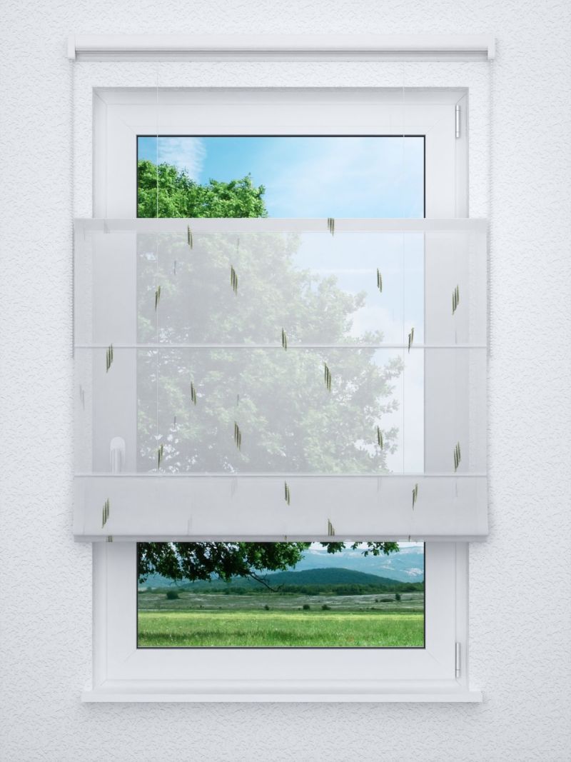 Raffrollo professional in grün