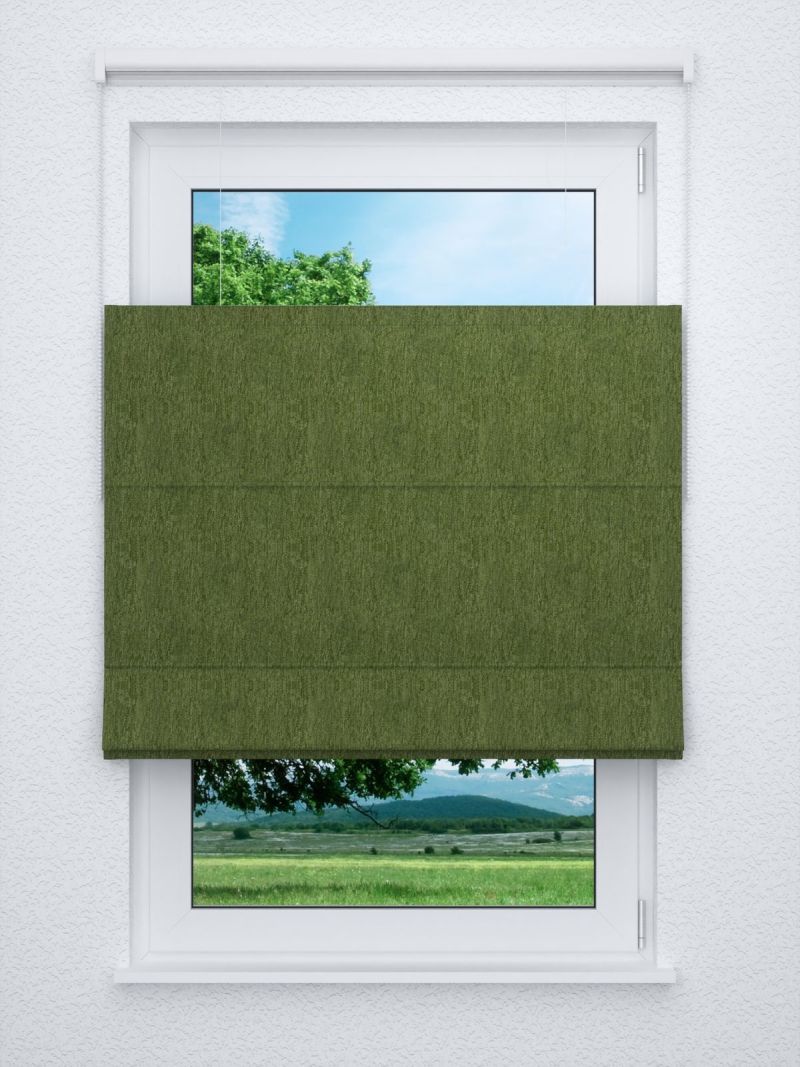 Raffrollo professional in grün