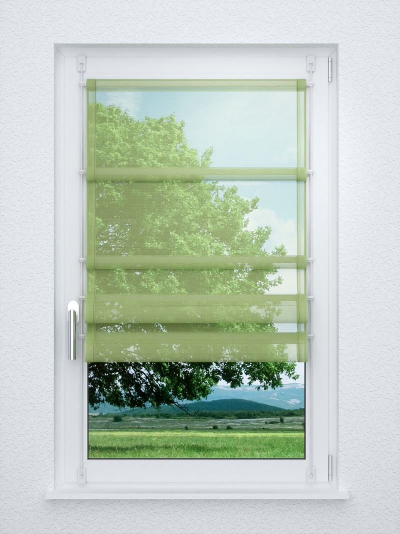 Raffrollo smart in Grün