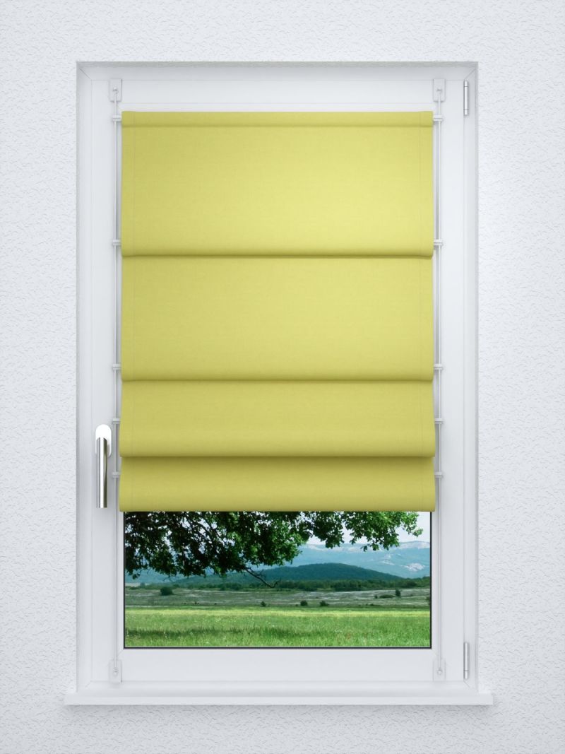 Raffrollo smart in Grün