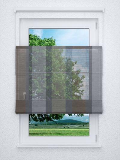 Raffrollo professional in Grau