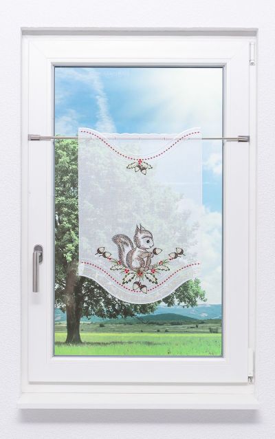 Scheibenhänger Plauener Spitze -  Eichhörnchen