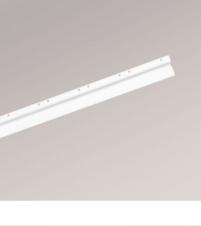 Paneelwagen in Weiß