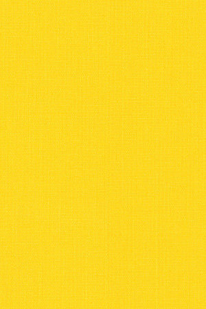 Preview Alcudia 5004 3