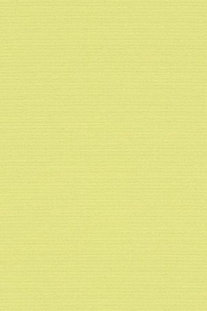 Preview Alcudia 7716 3