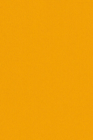 Preview Pamplona 5013 3