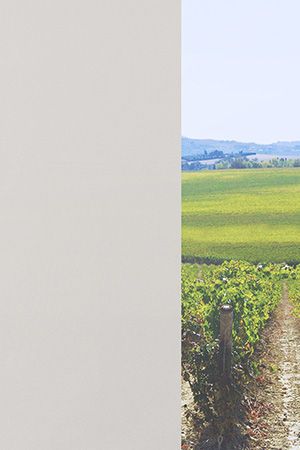 Preview Oviedo 7004 2