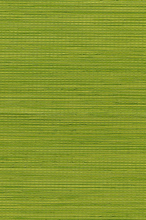 Preview Reno 24061 4