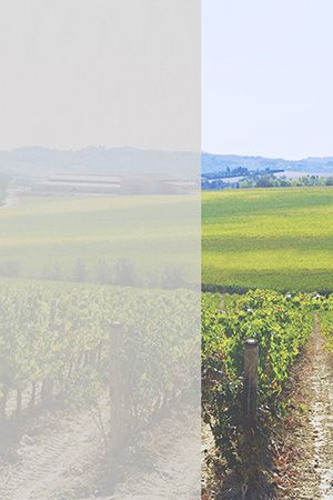 Preview Fores 5185 2