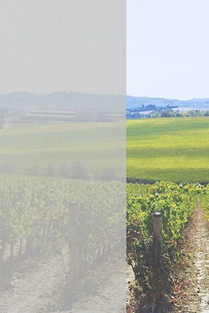 Preview Gerona 6234 2