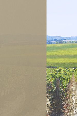 Preview Tenerife 7860 2