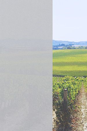 Preview Puerto 6416 2