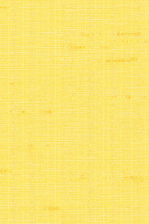 Preview Trinidad 6273 3