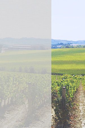 Preview La Oliva 7371 2