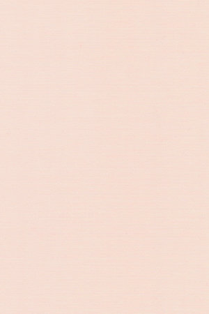 Preview Bacoli 13141 4