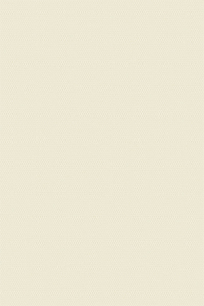 Lamelle Springfield 1128 Detailansicht