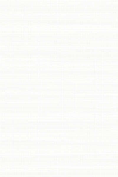 Lamelle Hailey 1133 Detailansicht