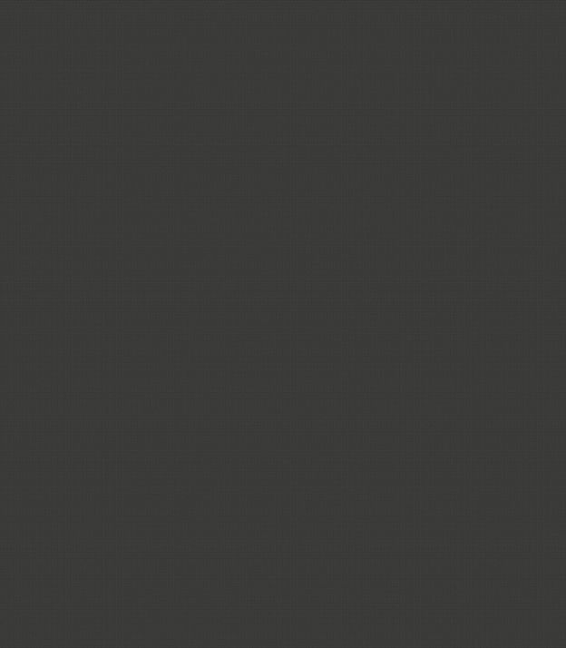 Detailansicht Hohenems 30.722