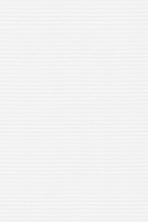 Preview Lamelle Springfield 1004 5