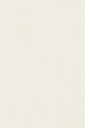 Preview Lamelle Springfield 1058 5