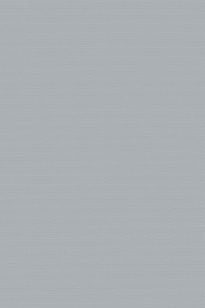 Preview Lamelle Springfield 1006 5