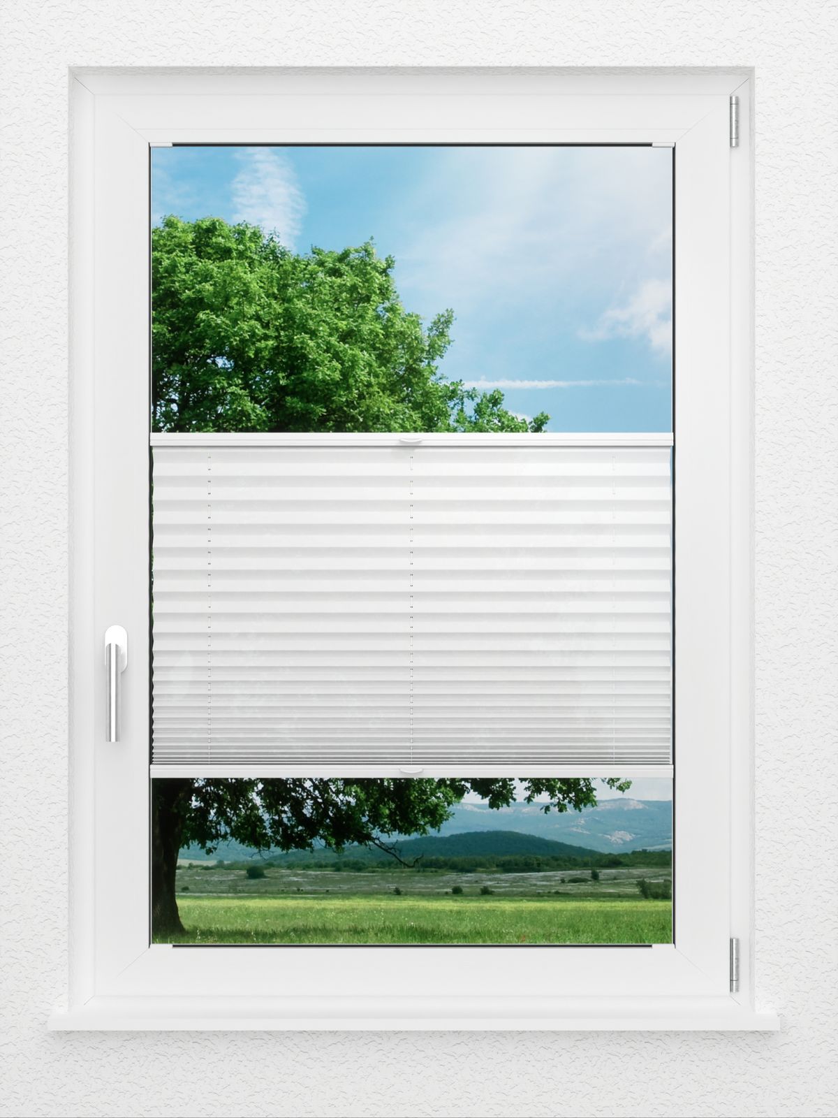 Detailansicht LYSEL HOME Plissee 205A Oliv Krepp