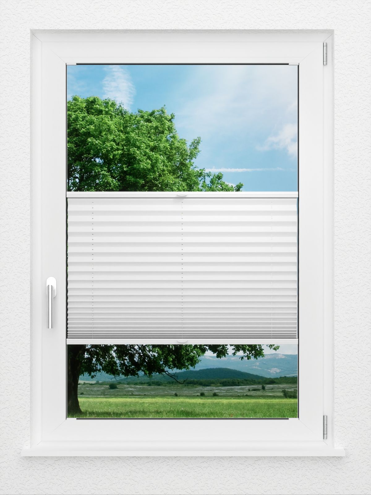 Detailansicht LYSEL HOME Plissee 209A Oliv Krepp Pearl