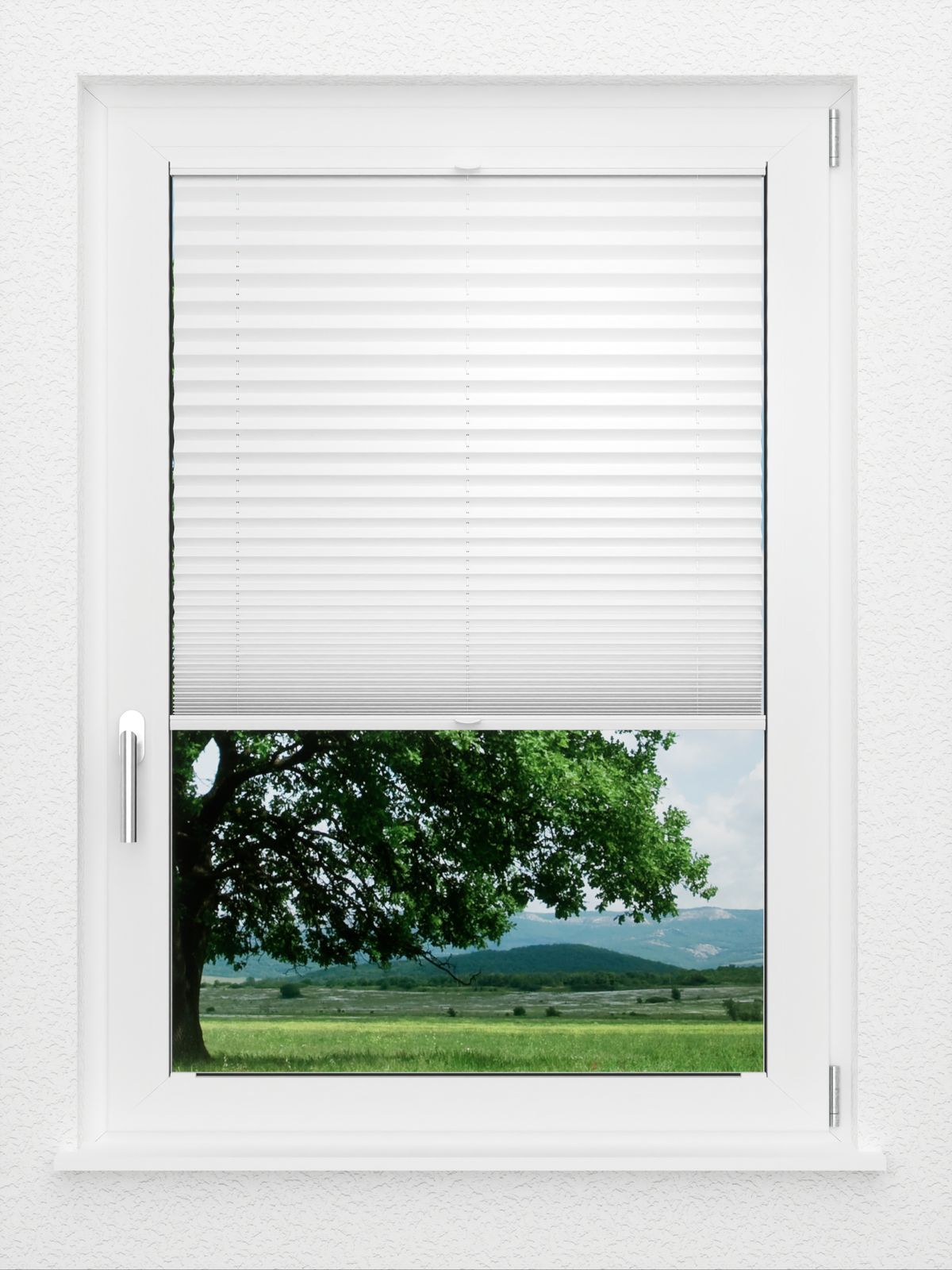 Detailansicht LYSEL HOME Plissee 209A Oliv Krepp Pearl