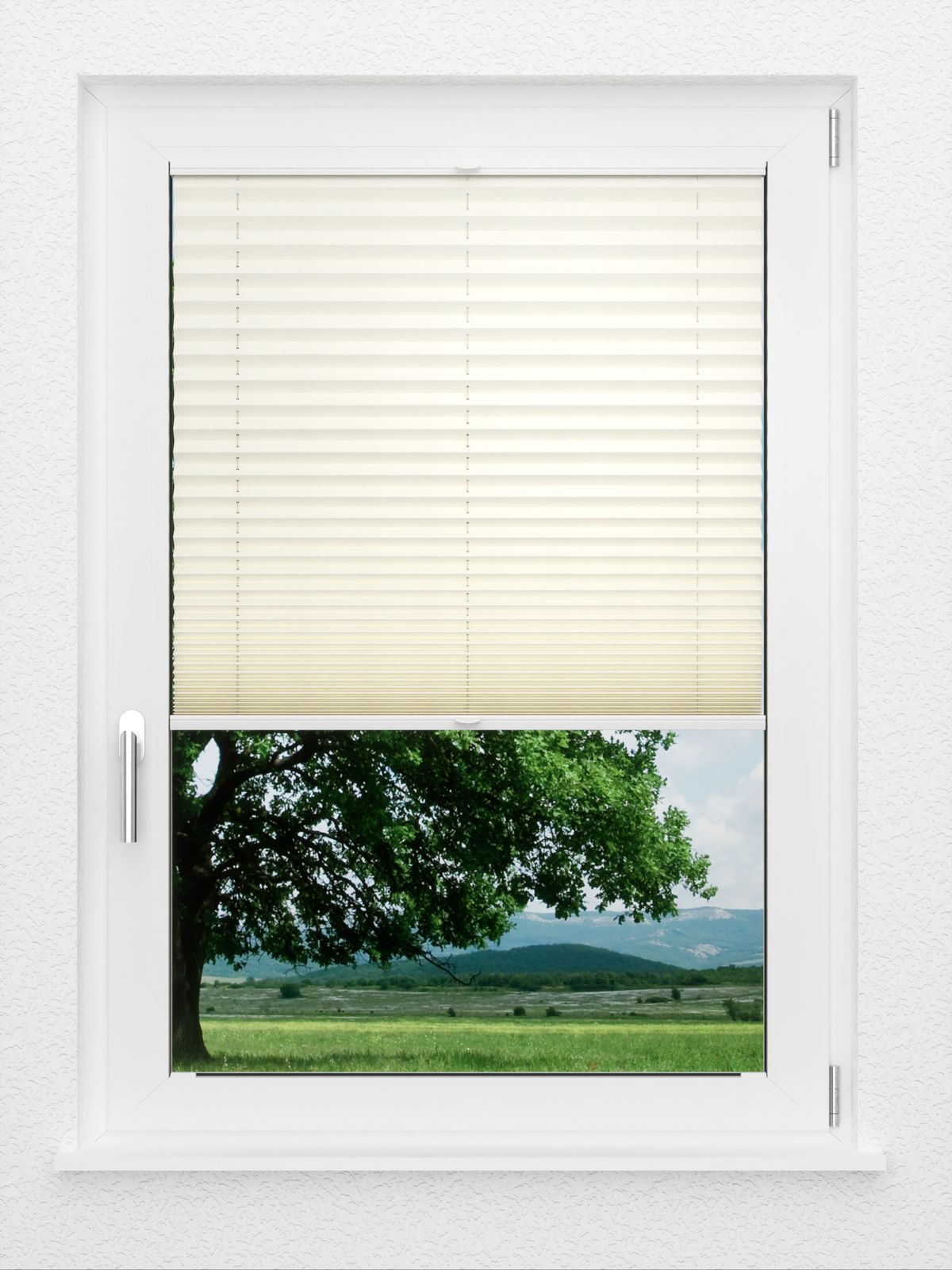 Detailansicht LYSEL HOME Plissee 101A Oliv Krepp Pearl