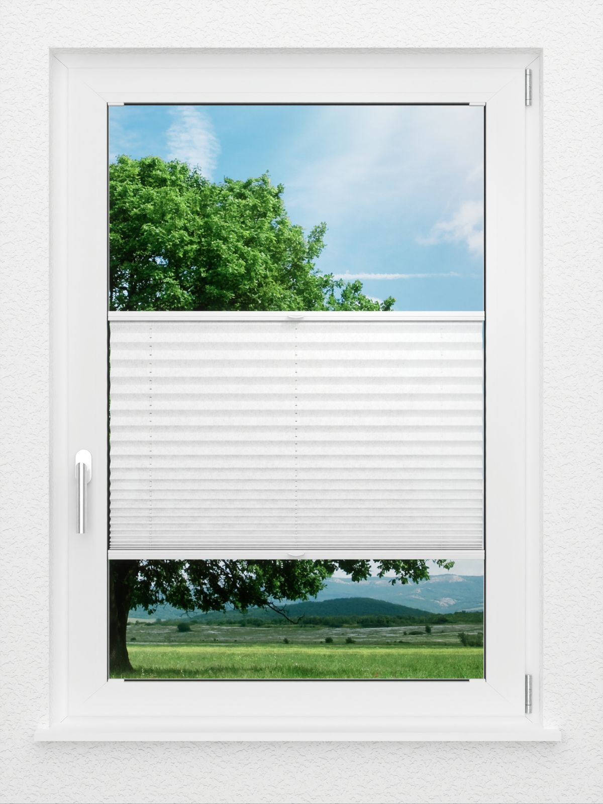 Detailansicht LYSEL HOME Plissee 204A Esa