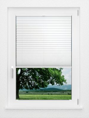 Preview LYSEL HOME Plissee 205A Oliv Krepp 1