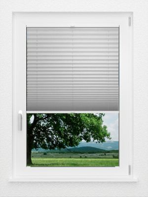 Preview LYSEL HOME Plissee 239A Jarl Crush Pearl 1