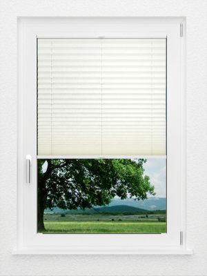 Preview LYSEL HOME Plissee 227A Esa 1