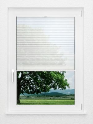 Preview LYSEL HOME Plissee 118A Loke 1