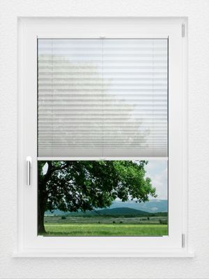 Preview LYSEL HOME Plissee 113A Loke 1