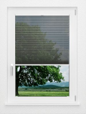 Preview LYSEL HOME Plissee 112A Loke 1