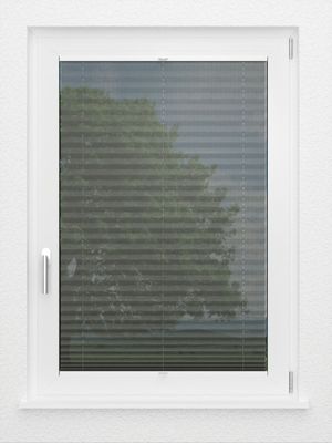 Preview LYSEL HOME Plissee 112A Loke 2