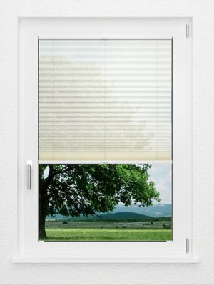 Preview LYSEL HOME Plissee 232A Loke 1