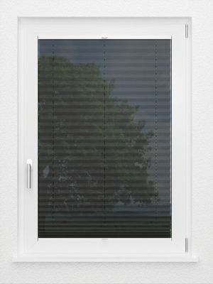 Preview LYSEL HOME Plissee 139A Loke 2