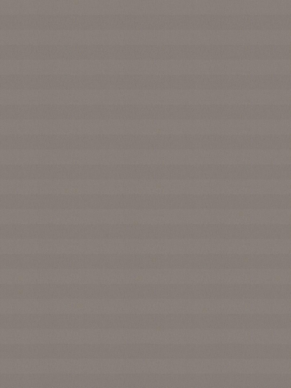 Detailansicht LYSEL HOME Plissee 221A Juna BO