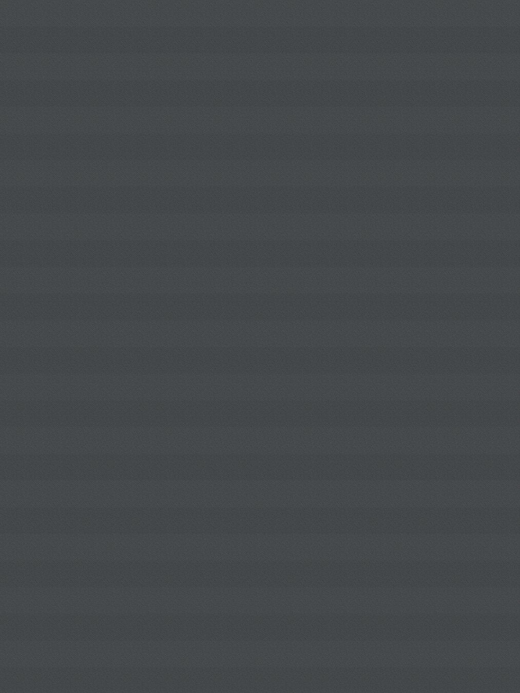 Detailansicht LYSEL HOME Plissee 116A Juna BO