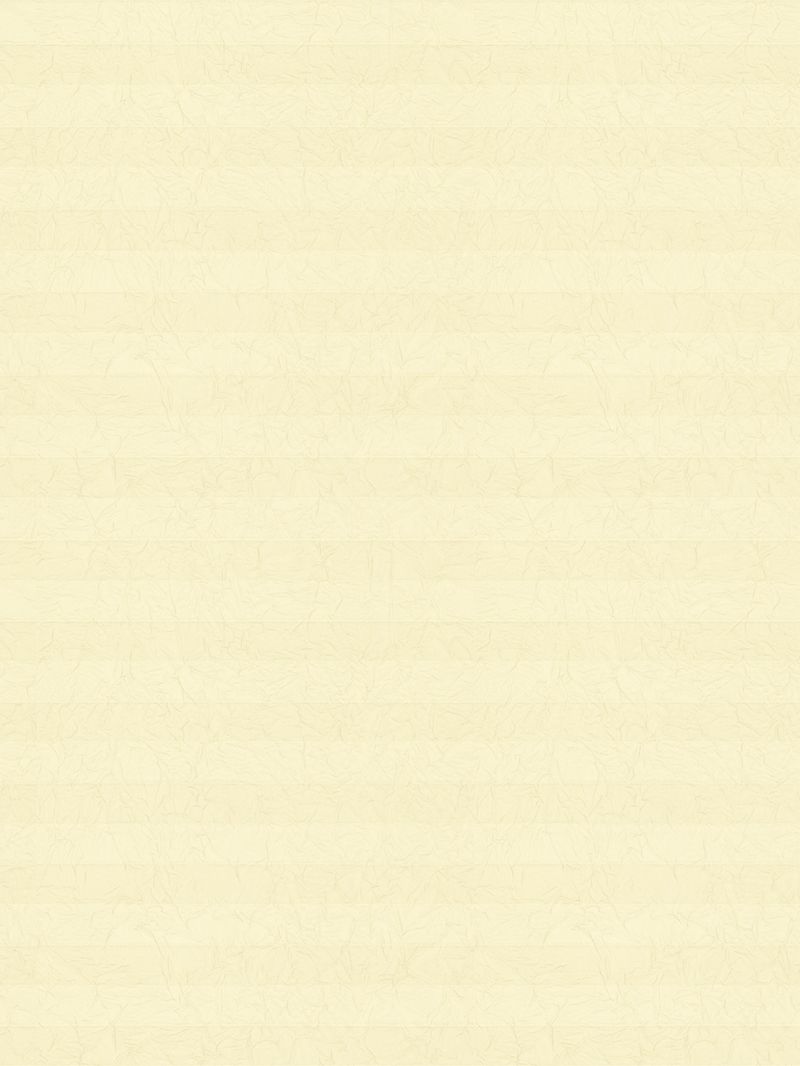 Preview LYSEL HOME Plissee 107A Svea Crush 3