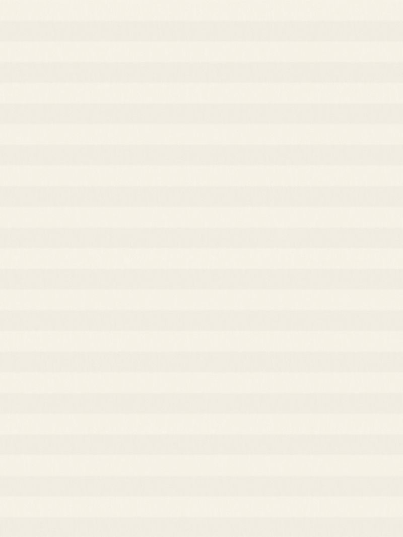 Preview LYSEL HOME Plissee 227A Esa 3