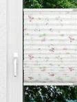 Flower Dream 3.885.58 Fensteransicht