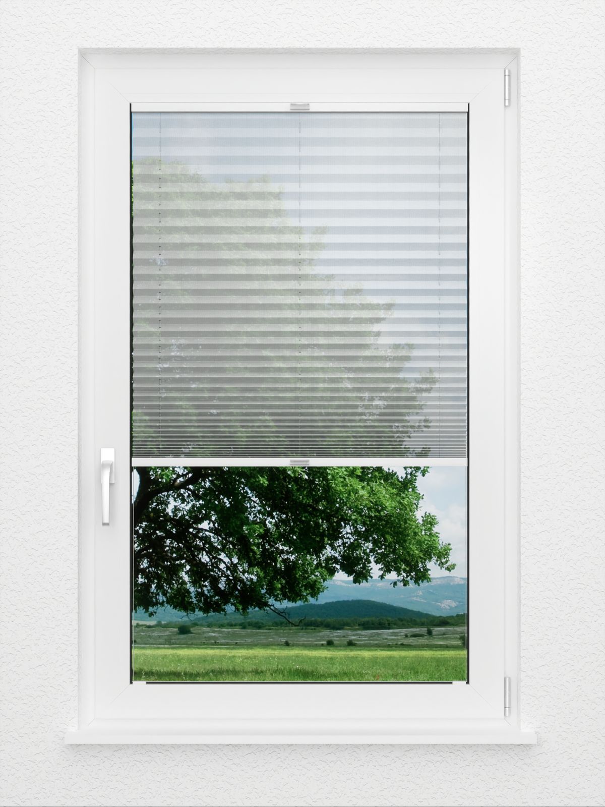 Detailansicht Accent 2.310.37