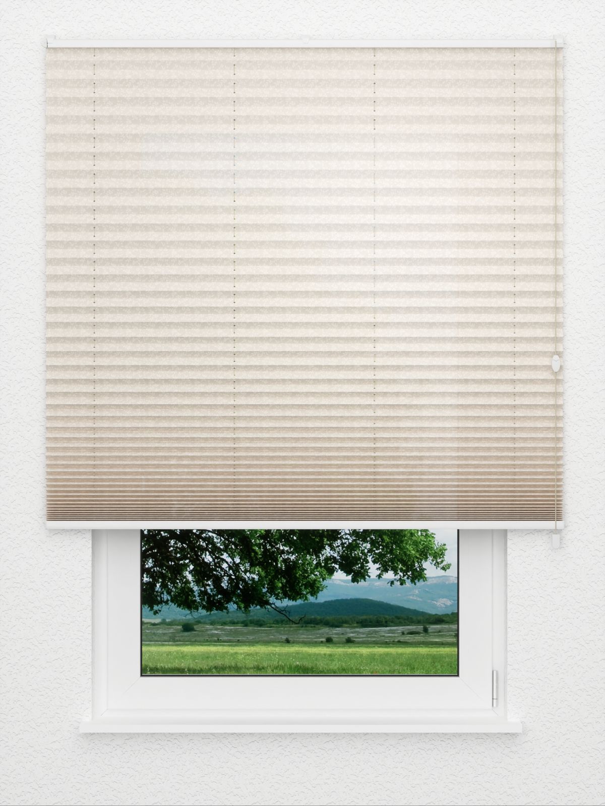 Detailansicht Botanic 3.152.08