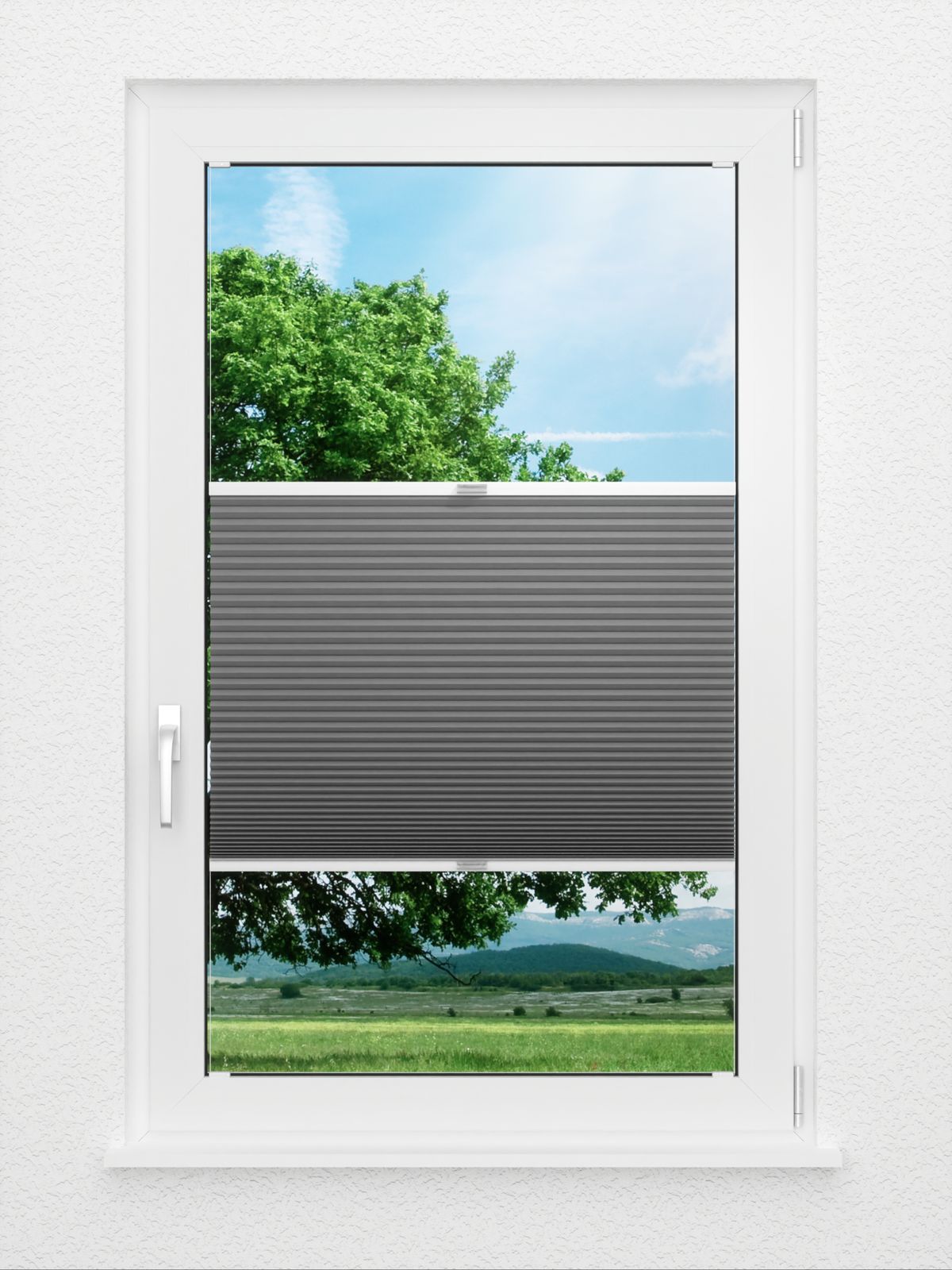 Detailansicht Honeycomb Balto 1.360.96